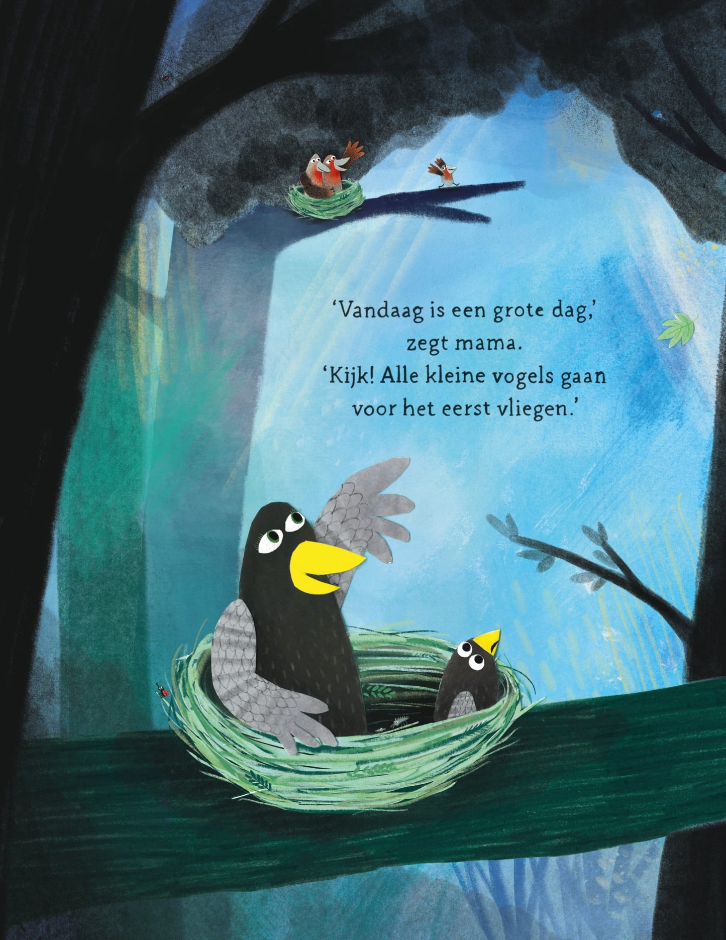 Voorbeeld prent uit het prachtige boek van Coco kan het!
