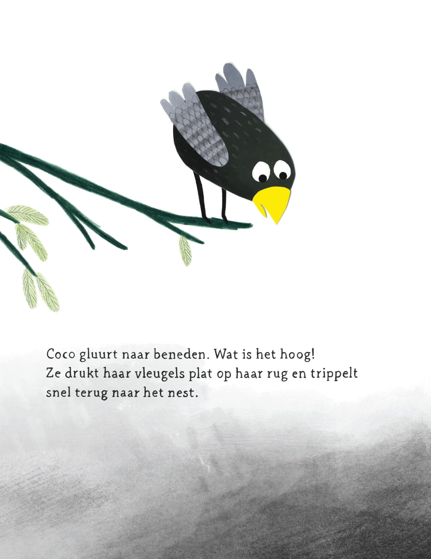 Voorbeeld van het boek Coco kan het!