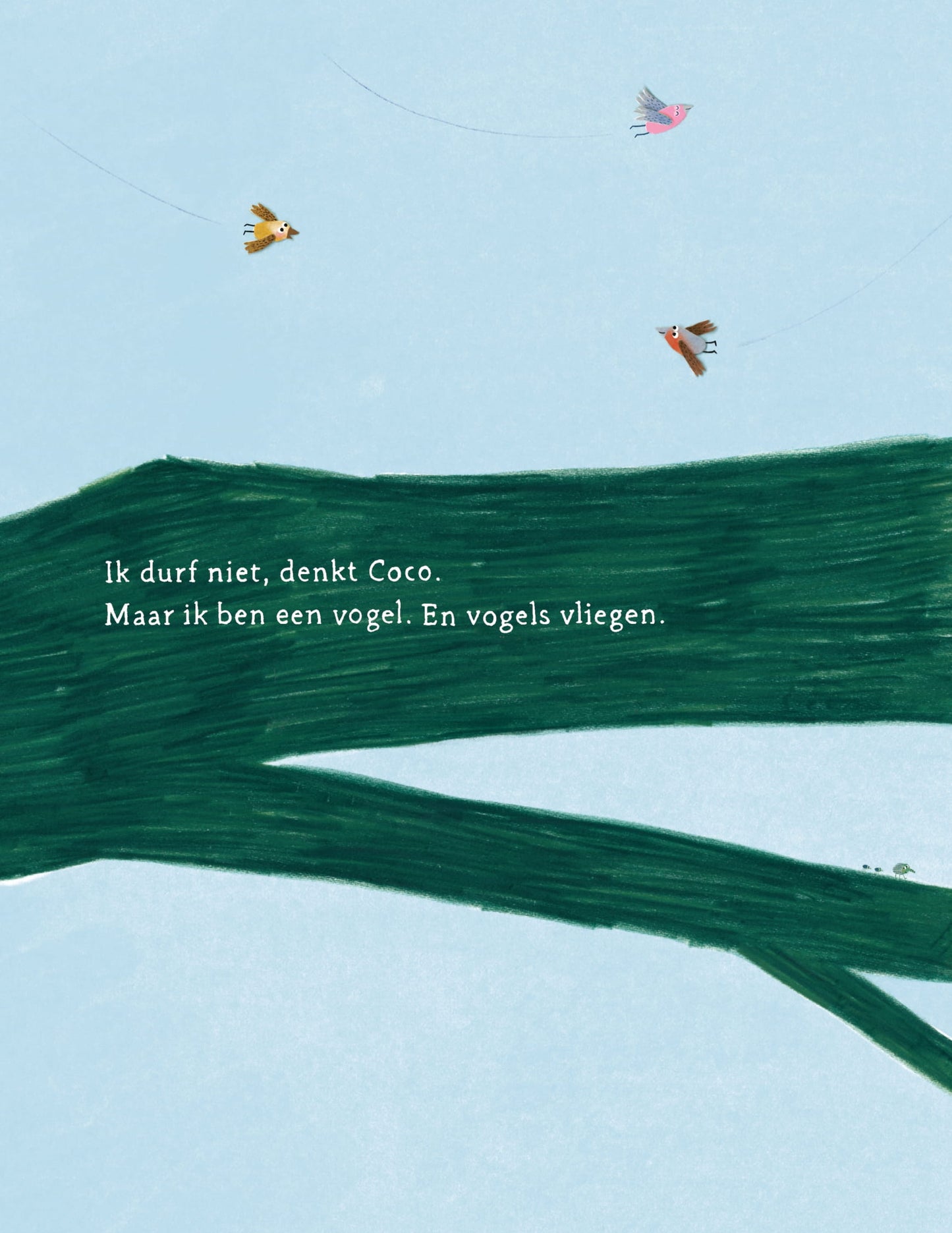 Voorbeeld uit het prentenboek Coco kan het!