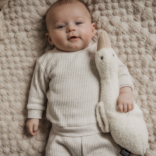 baby met hartslagknuffel Gans van Flow Amsterdam