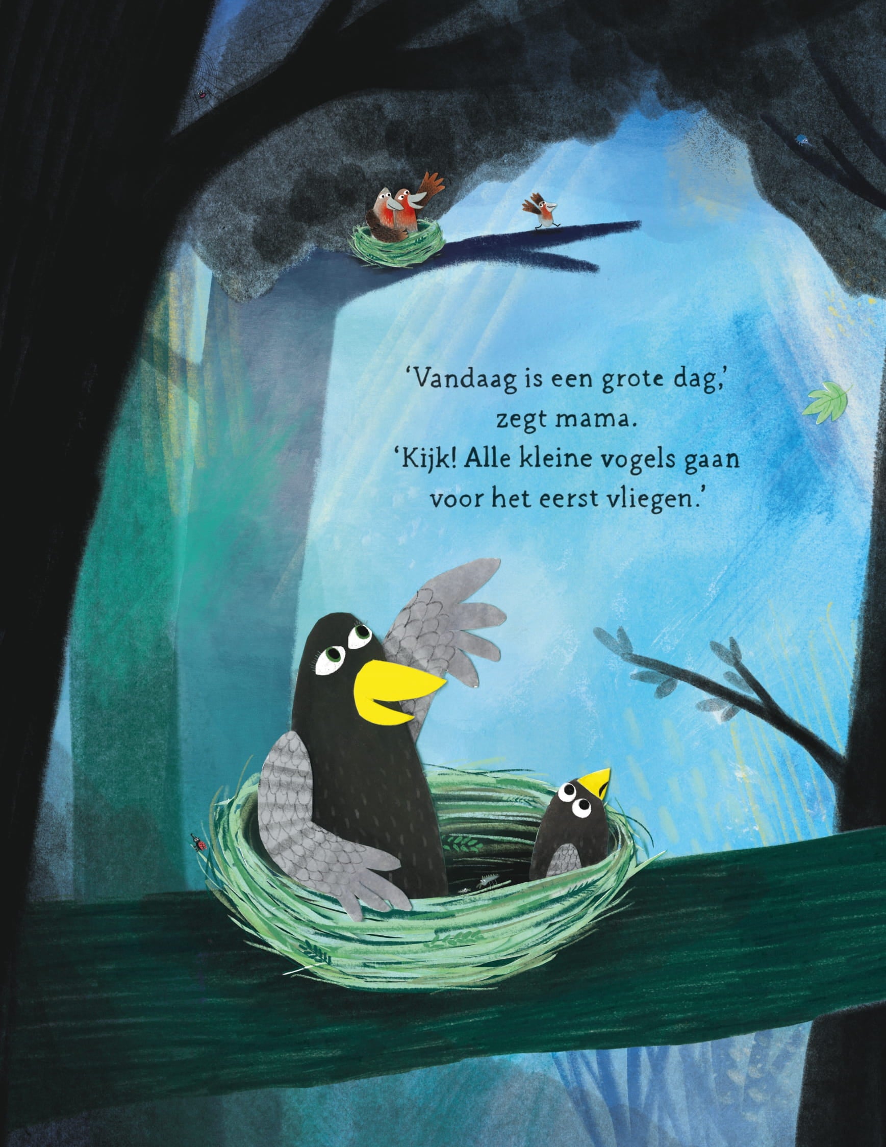 Voorbeeld prent uit het prachtige boek van Coco kan het! 